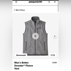Men’s Patagonia vest